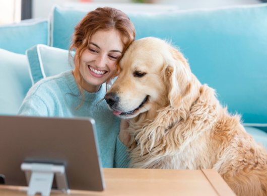 Veterinary Care: Rapid Medical Support with DevOps