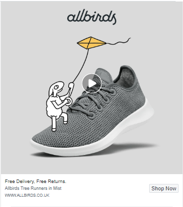 allbirds-close-up