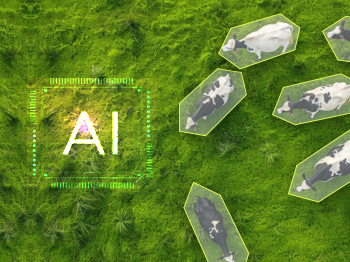 Annotation Automated