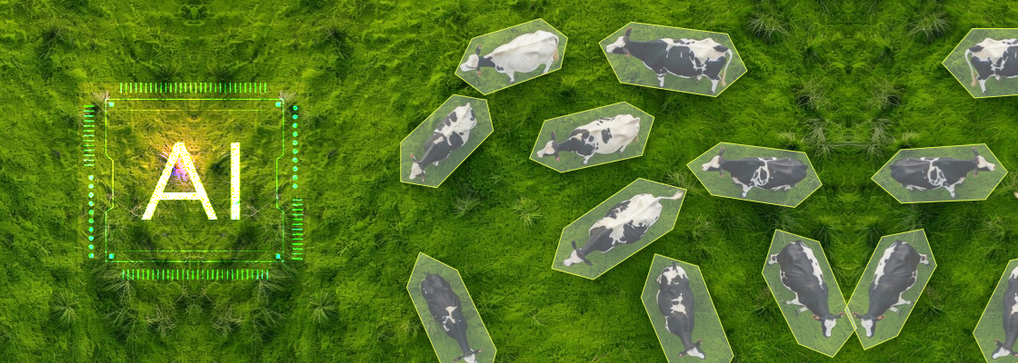 Banner Image - Cattle Counting and Tracking with AI: The Critical Role of Labeled Data