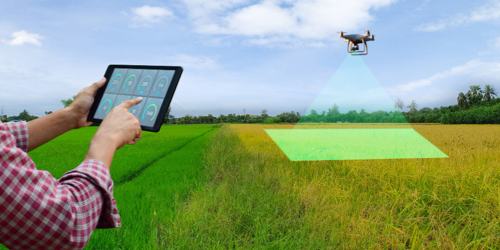 Image - Empower Your Farming Robots with Superior Vision