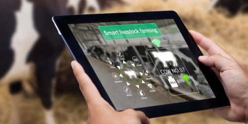 Livestock-Monitoring-Analysis