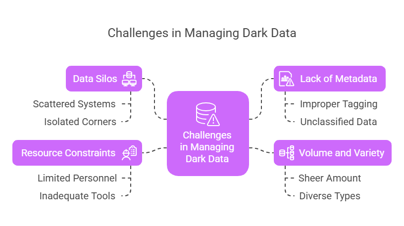 Several factors contribute to the persistence of dark data