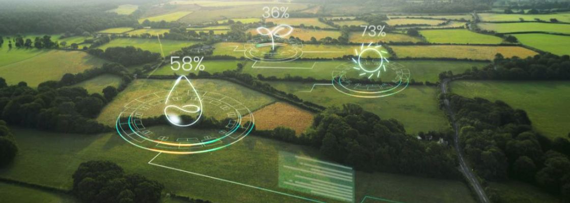 Banner Image for Blog -