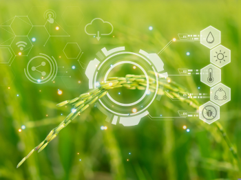 Annotation Debt in Agri-Robotics