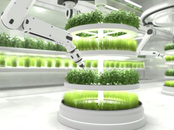 Why Static Taxonomies Fail in Agri-Robotics