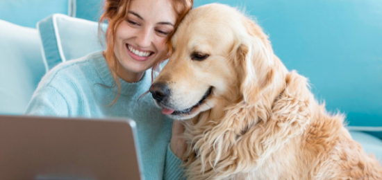 Veterinary Care: Rapid Medical Support with DevOps